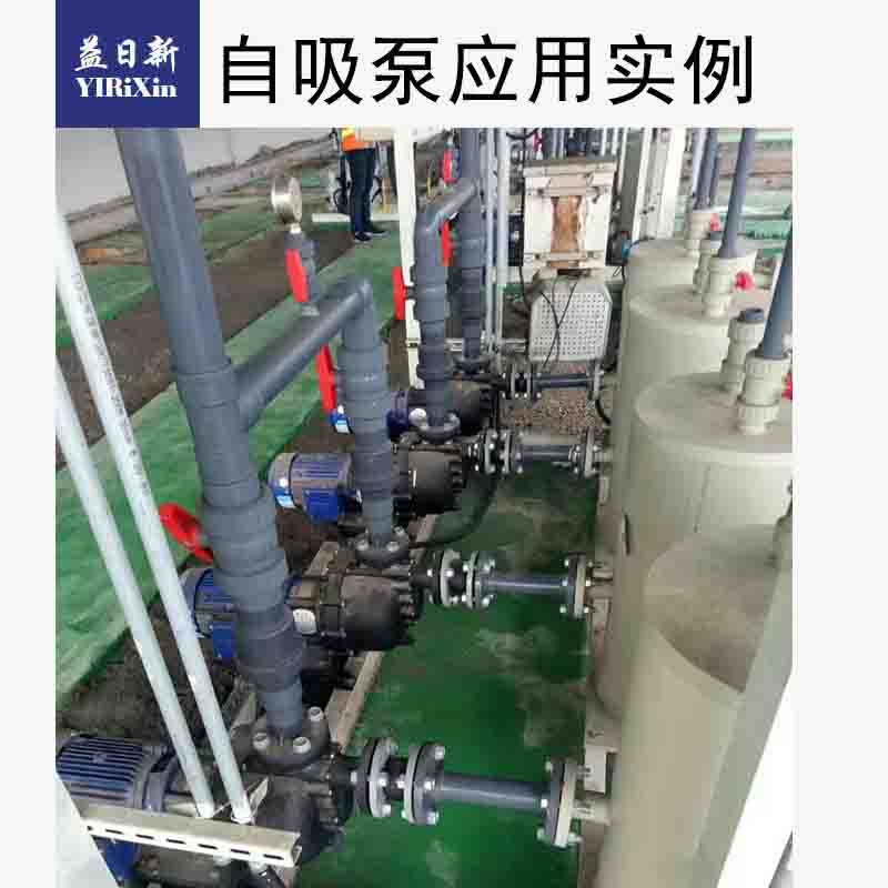 耐酸碱自吸泵